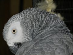 Is this my best side? (Joe)