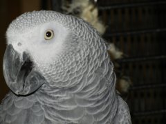 Wait! WAIT! I think this may be a better look...(Joe)