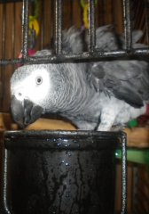 Really! I'm trying to take a bath here...How about some privacy!