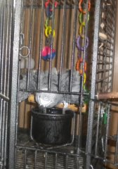 Can't a guy have a moment's peace????