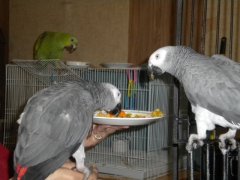 My turn! I want a bite too!