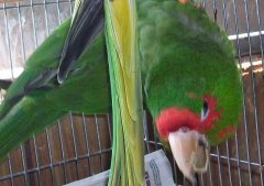 Ya feelin' lucky...punk?