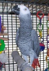 WHAT??? No more PISTACHIOS??