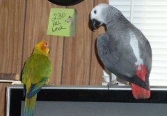 I TOLD you we were late!!