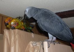 Are you having a bad hair day too?