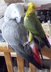 Help! I'm losing my grip!!