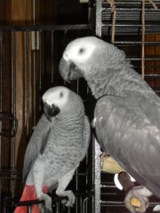 Me...and my....shadowww...