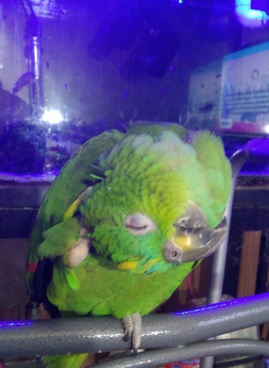 IMG_20180417_231042469 (2).jpg