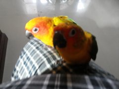 2013-08-21 15.48.12.jpg