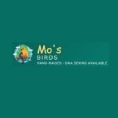 mosbirds