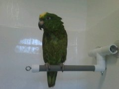 Shower Time!