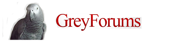 Grey Forums